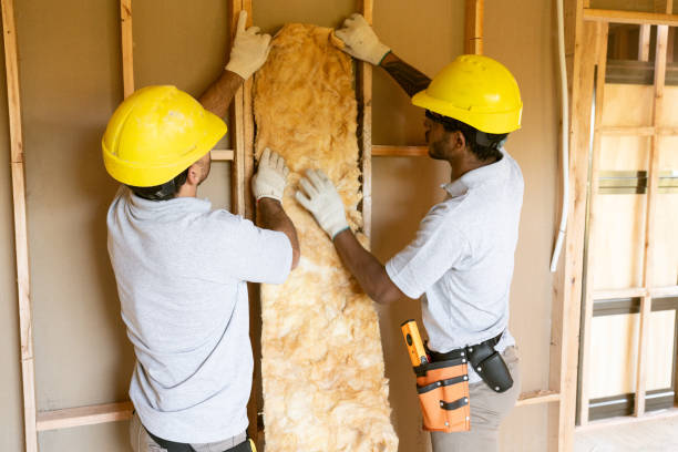 Best Basement Insulation  in Magnolia, AR