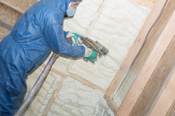 Best Commercial Insulation Services  in Magnolia, AR